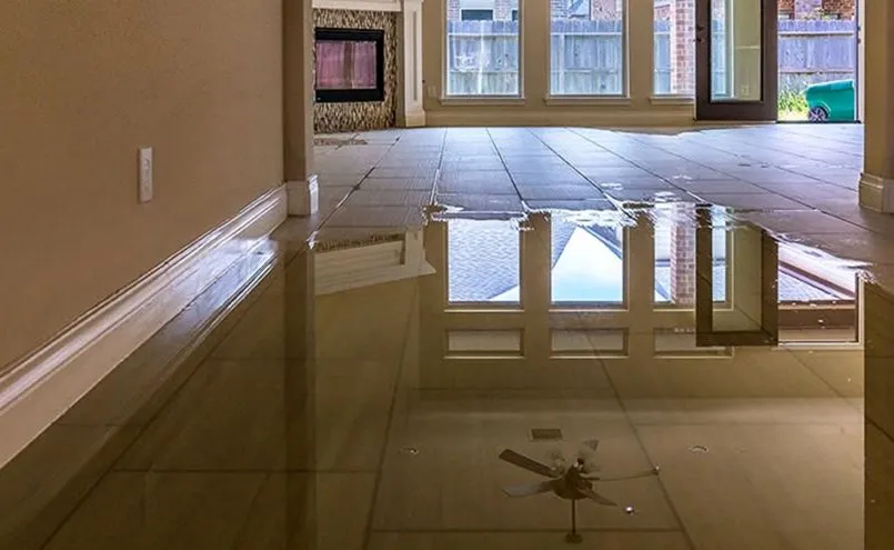 Mold Remediation project by Sonta Restoration, Boca Raton FL